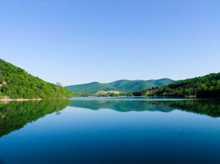 Рыба шамайка: описание, фотографии, штраф за ловлю и где водится, как выглядит?