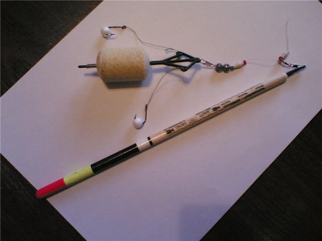 Как ловить толстолобика на удочку, на что и когда лучше ловить