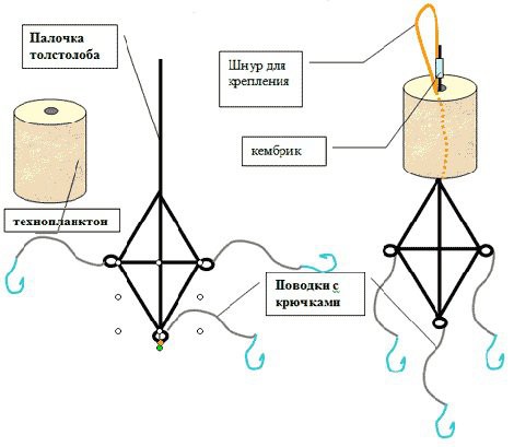 Как ловить толстолобика на удочку, на что и когда лучше ловить