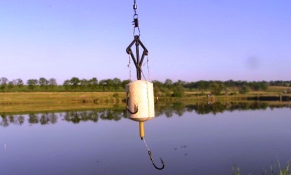 Как ловить толстолобика на удочку, на что и когда лучше ловить