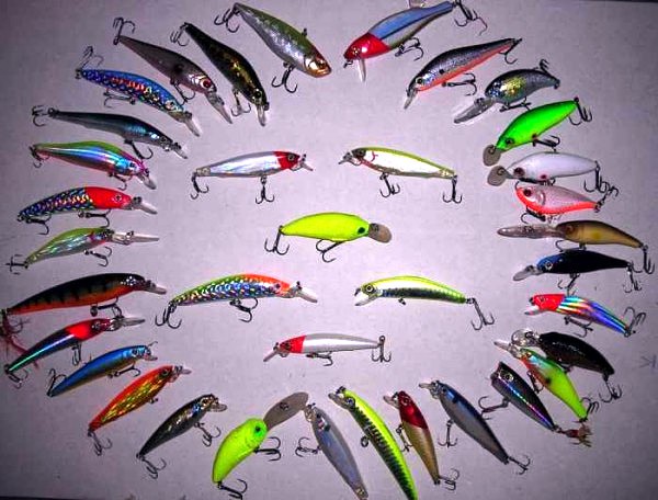 Лучший воблер для троллинга на судака - техника ловли, ночной троллинг