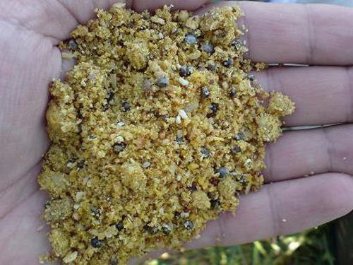 Прикормка для карпа своими руками - рецепты в домашних условиях на фидер