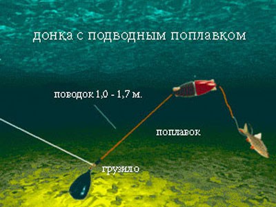 Снасть для сома для ловли с берега своими руками - фото, видео Снасть для сома для ловли с берега своими руками - фото, видео