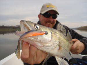 Ловля судака в сентябре на спиннинг - выбор спиннинга для джиговой ловли