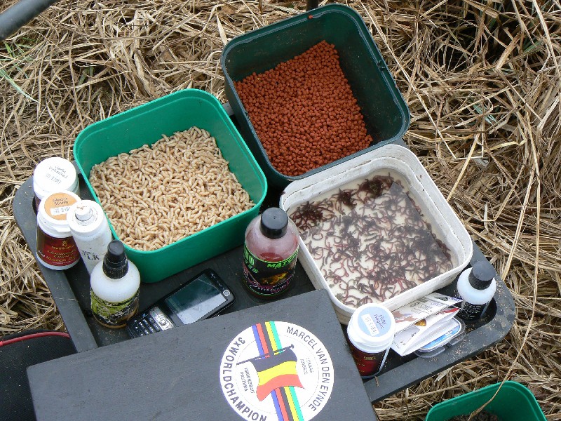 На что ловить карпа в сентябре, как и где - снасть и оснастка