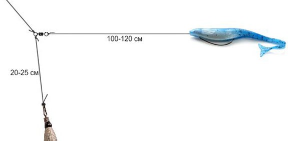 Ловля на отводной поводок - советы начинающим по ловле окуня, судака Ловля на отводной поводок - советы начинающим по ловле окуня, судака