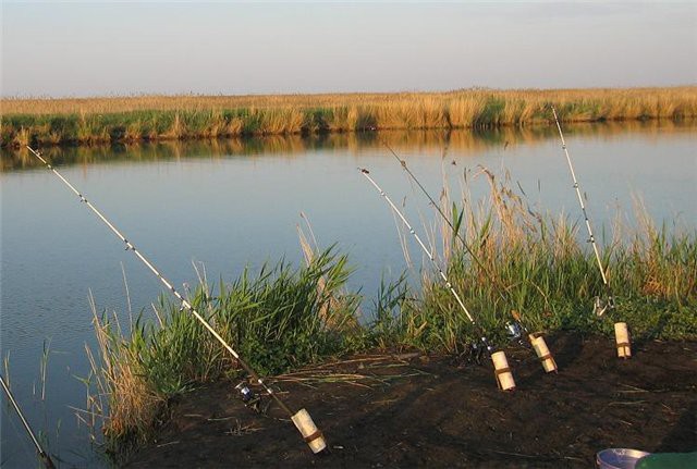 Снасть удочка донная с кормушками - как сделать удочку своими руками, оснастка