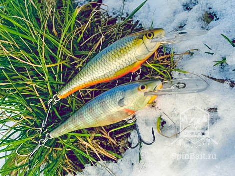 Рейтинг воблеров для троллинга для ловли щуки, судака и сома