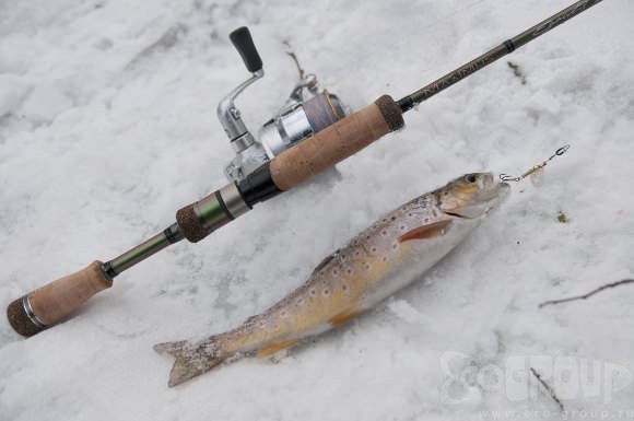 Купить спиннинг Maximus High Energy, Legend, Work Horse - отзывы