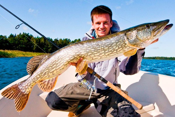 Когда, где, в какую погоду, при каком давлении и на что клюет щука лучше Когда, где, в какую погоду, при каком давлении и на что клюет щука лучше