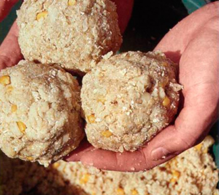 Прикормка для карася весной своими руками - рецепт прикормки в домашних условиях Прикормка для карася весной своими руками - рецепт прикормки в домашних условиях