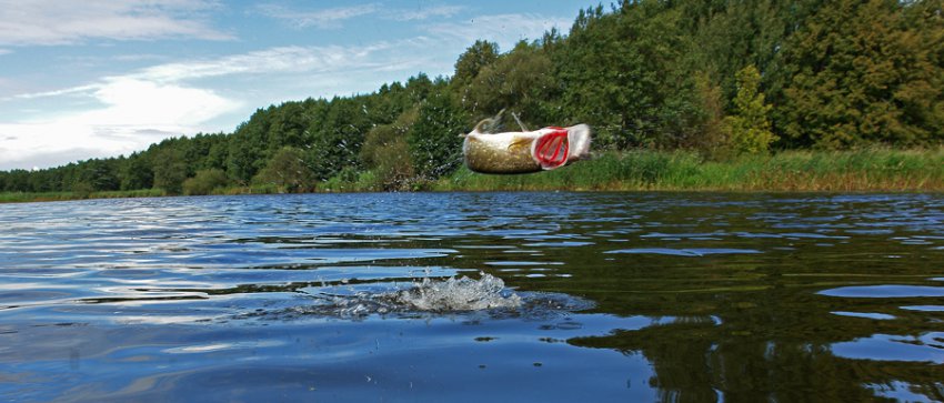 Платная рыбалка в Калининградской области сегодня на реке Неман