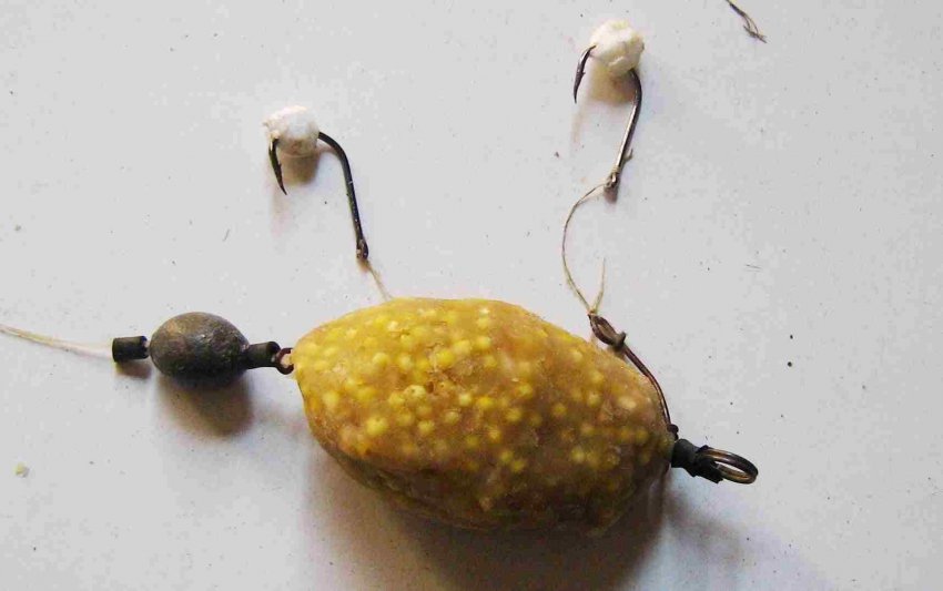 Ловля карпа на соску - снасть для ловли карпа и как ее сделать