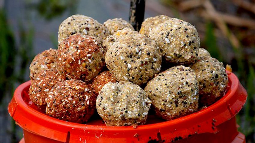 Прикормка для карпа своими руками - рецепты в домашних условиях на фидер