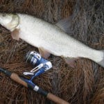 Поплавок для ловли на течении и как его сделать своими руками? – СуперУлов – интернет-портал о рыбалке