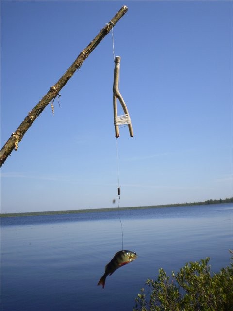 Как сделать летнюю жерлицу своими руками? – СуперУлов – интернет-портал о рыбалке