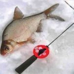 Как сделать летнюю жерлицу своими руками? – СуперУлов – интернет-портал о рыбалке