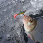 Как правильно отгрузить поплавок и скользящий поплавок? – СуперУлов – интернет-портал о рыбалке Как правильно отгрузить поплавок и скользящий поплавок? – СуперУлов – интернет-портал о рыбалке